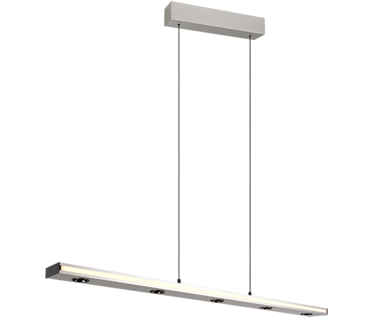 Graham Pendant- Black/ Nickel Finishes