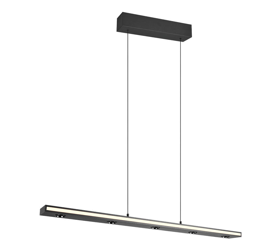 Graham Pendant- Black/ Nickel Finishes