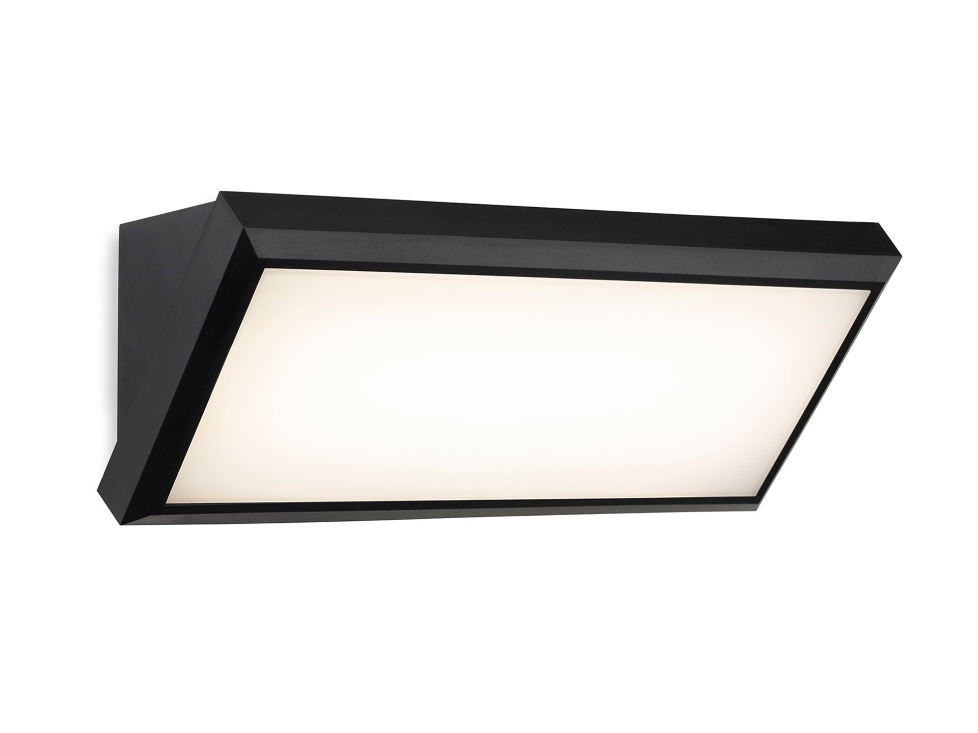 Nitro LED Resin Wall Light- Black Finish