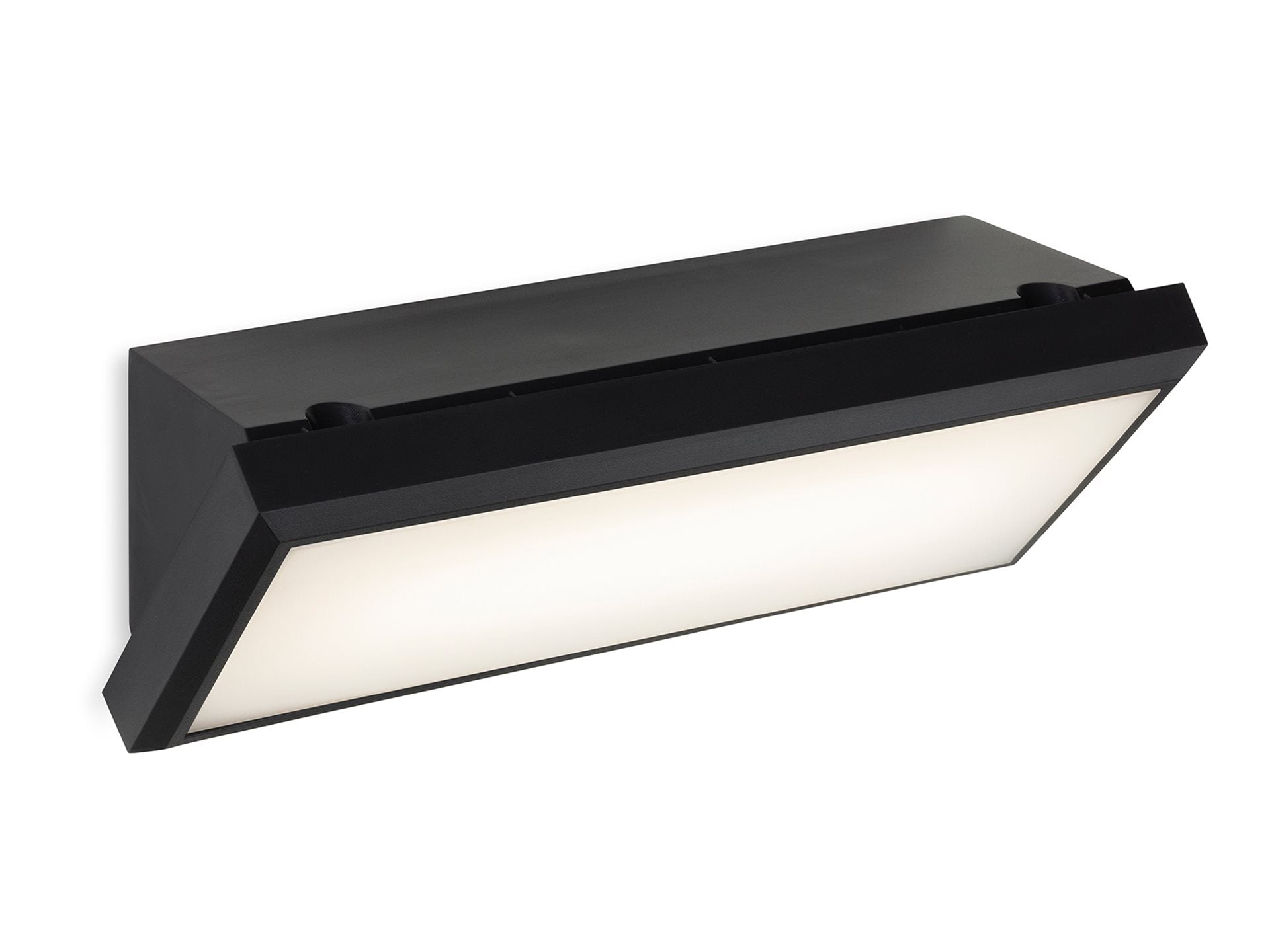 Nitro LED Resin Wall Light- Black Finish