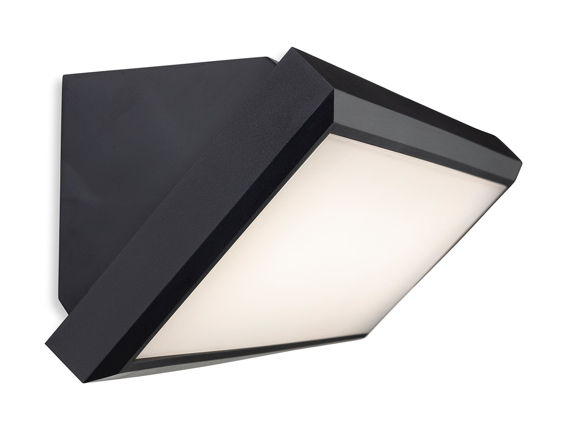 Nitro LED Resin Wall Light- Black Finish