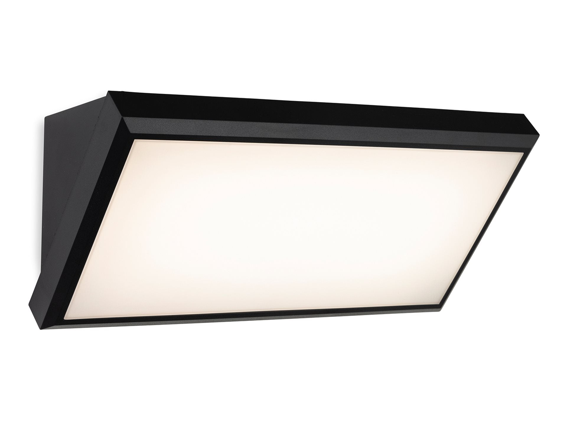 Nitro LED Resin Wall Light- Black Finish