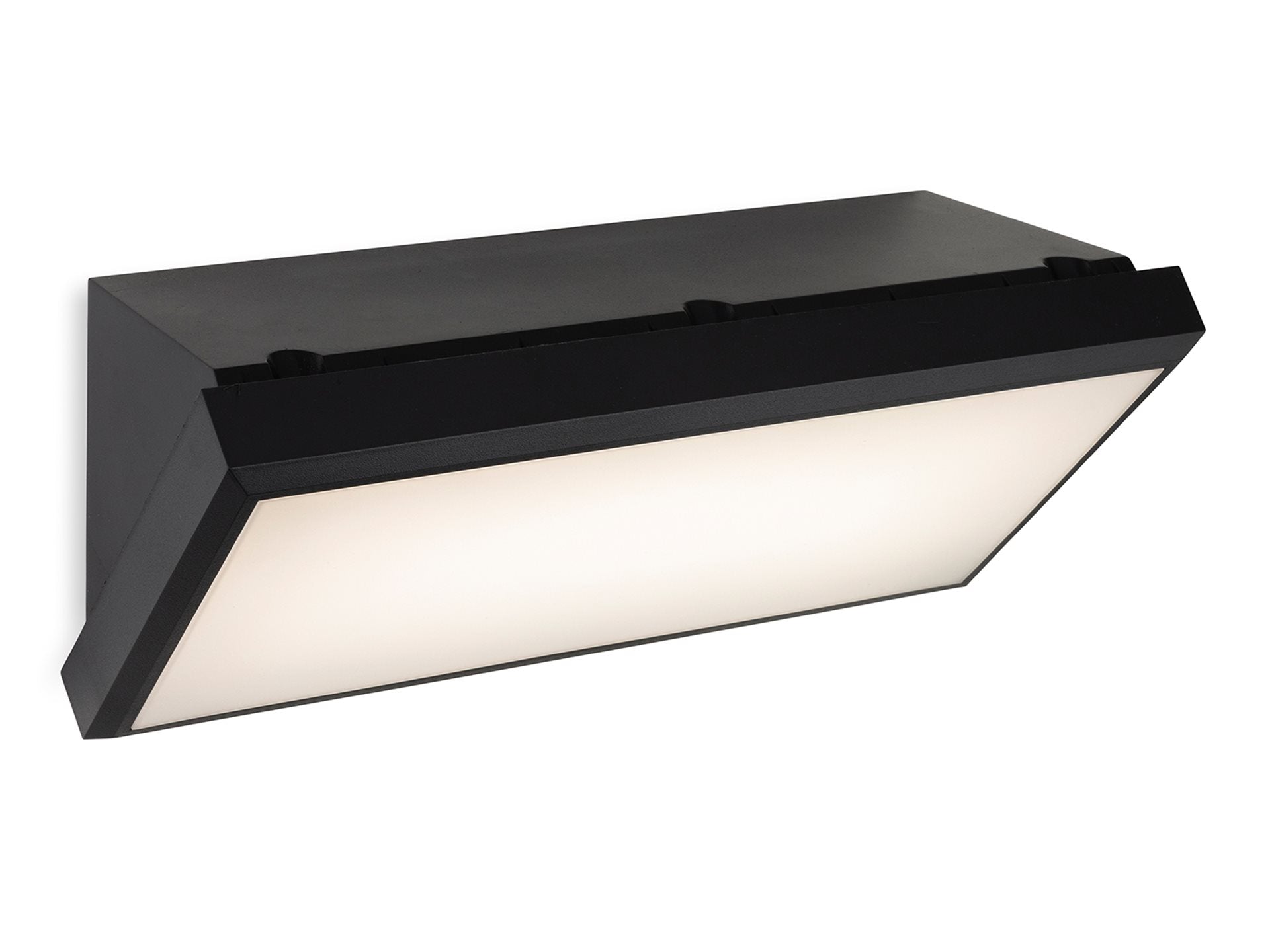 Nitro LED Resin Wall Light- Black Finish