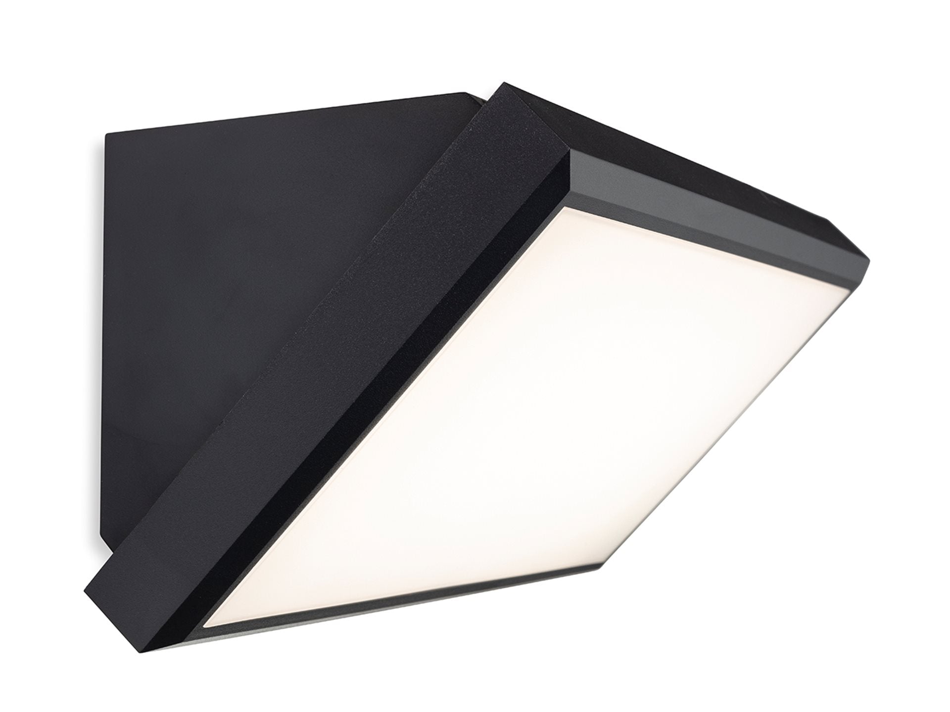 Nitro LED Resin Wall Light- Black Finish