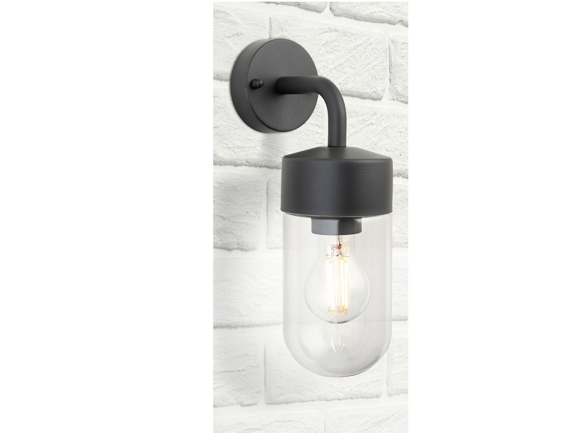 Brisbane Wall Light- Graphite/ Stainless Steel