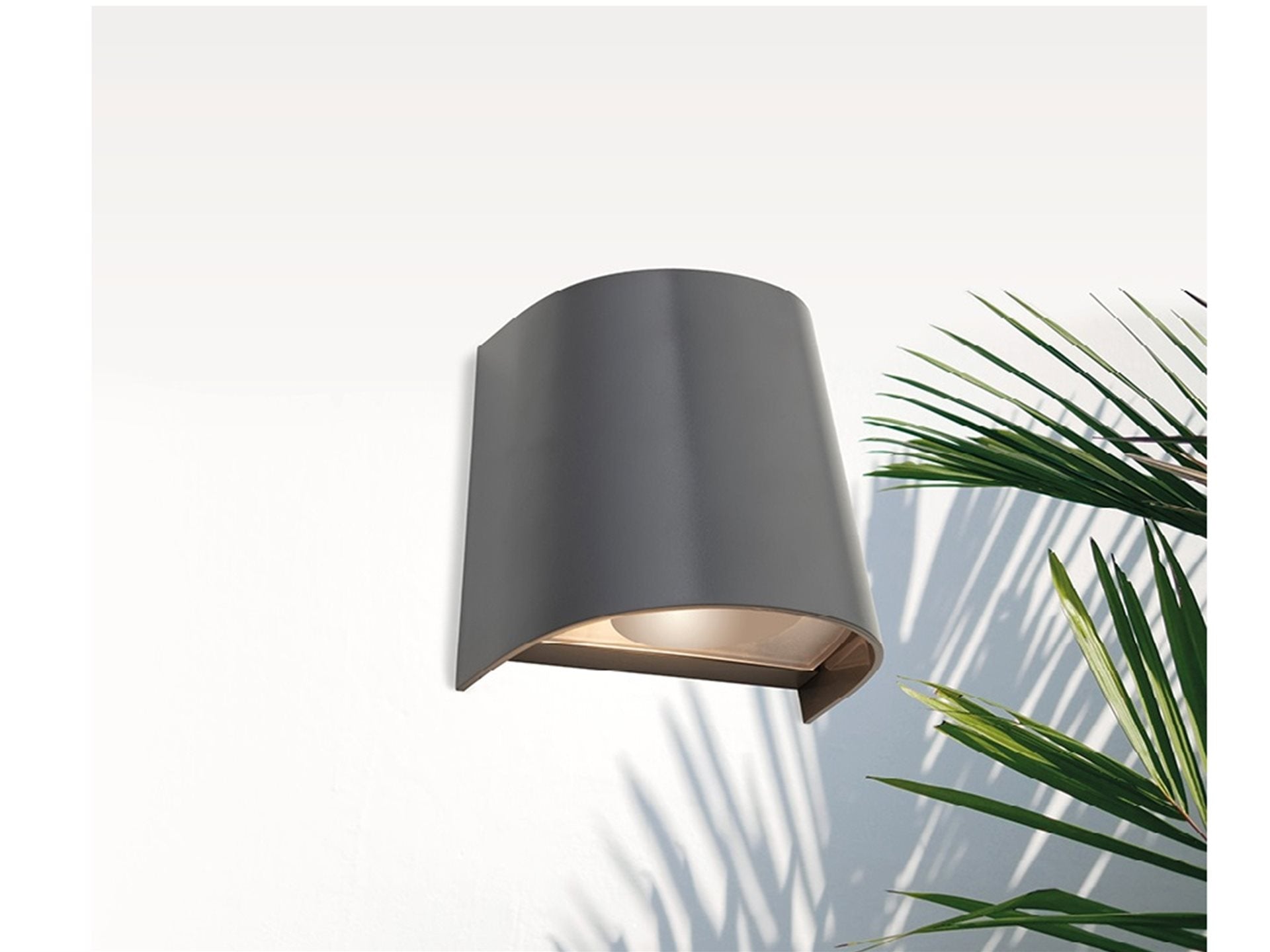 Duke 1/2lt Resin Wall light- Graphite Finish