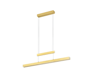 Trajan Extendable LED Linear Pendant - Promotional Offer