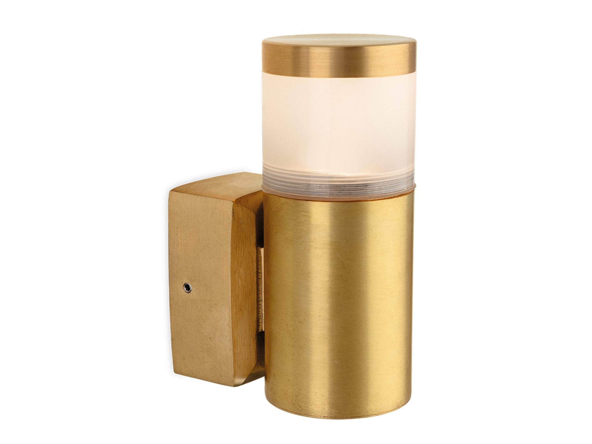 Eagle  Wall Light