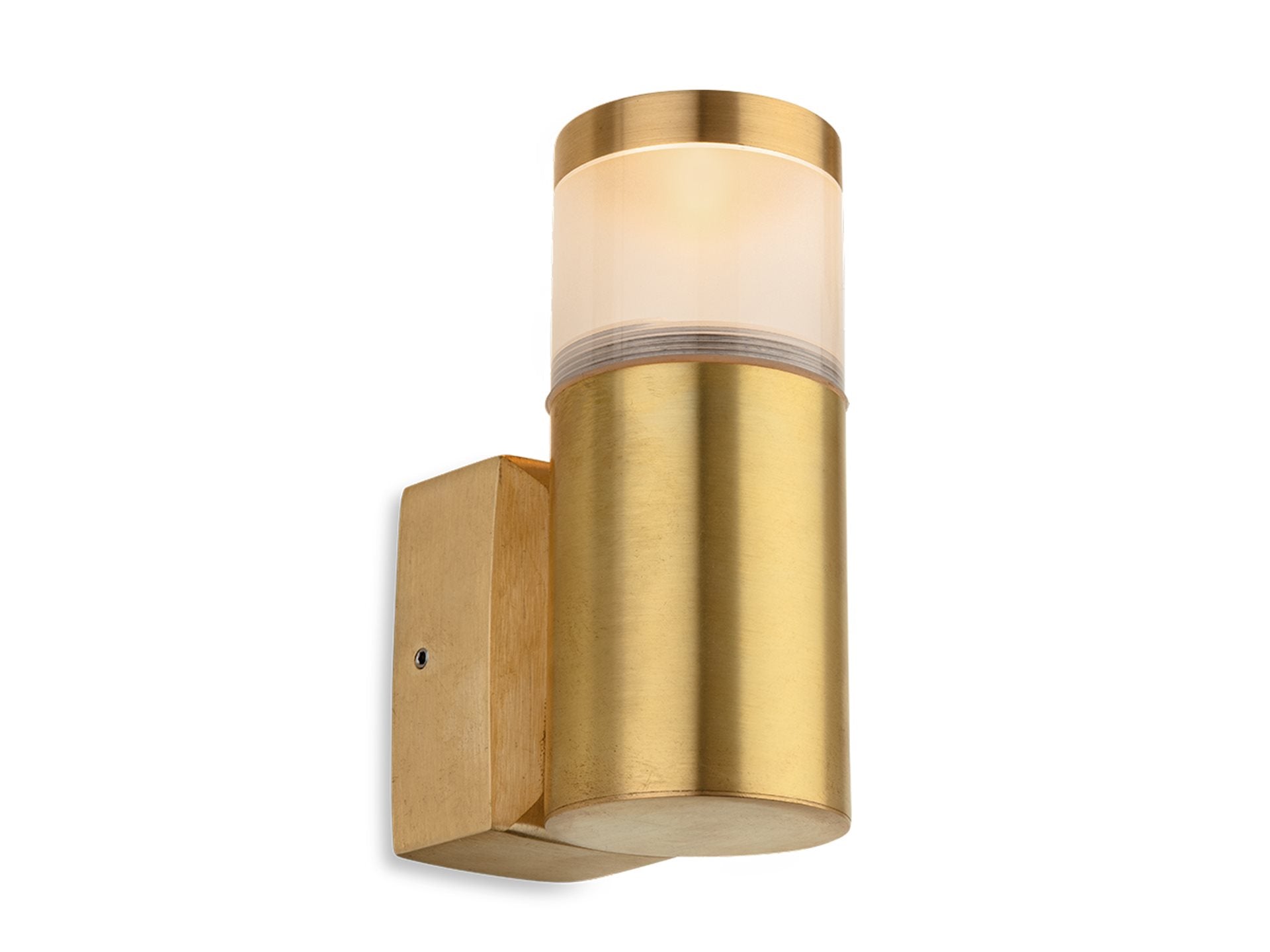 Eagle  Wall Light