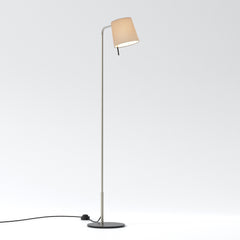 Mitsu Floor Lamp- Matt Nickel/ Bronze