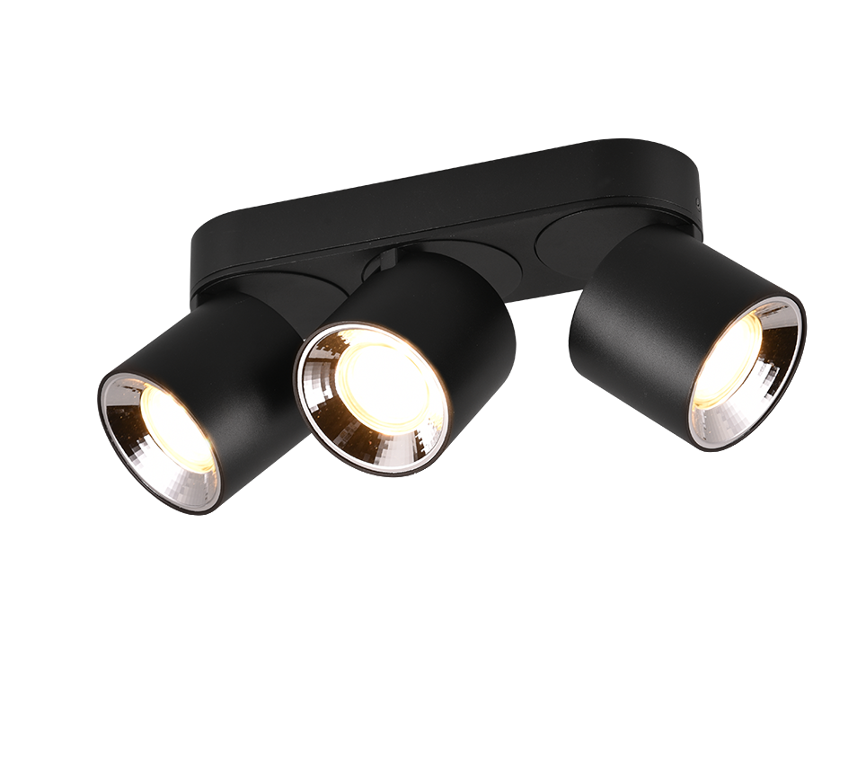 Guayana 2/3Lt Flush Ceiling Lights  - Various Size/Colours