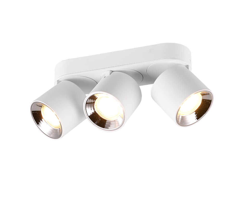 Guayana 2/3Lt Flush Ceiling Lights  - Various Size/Colours