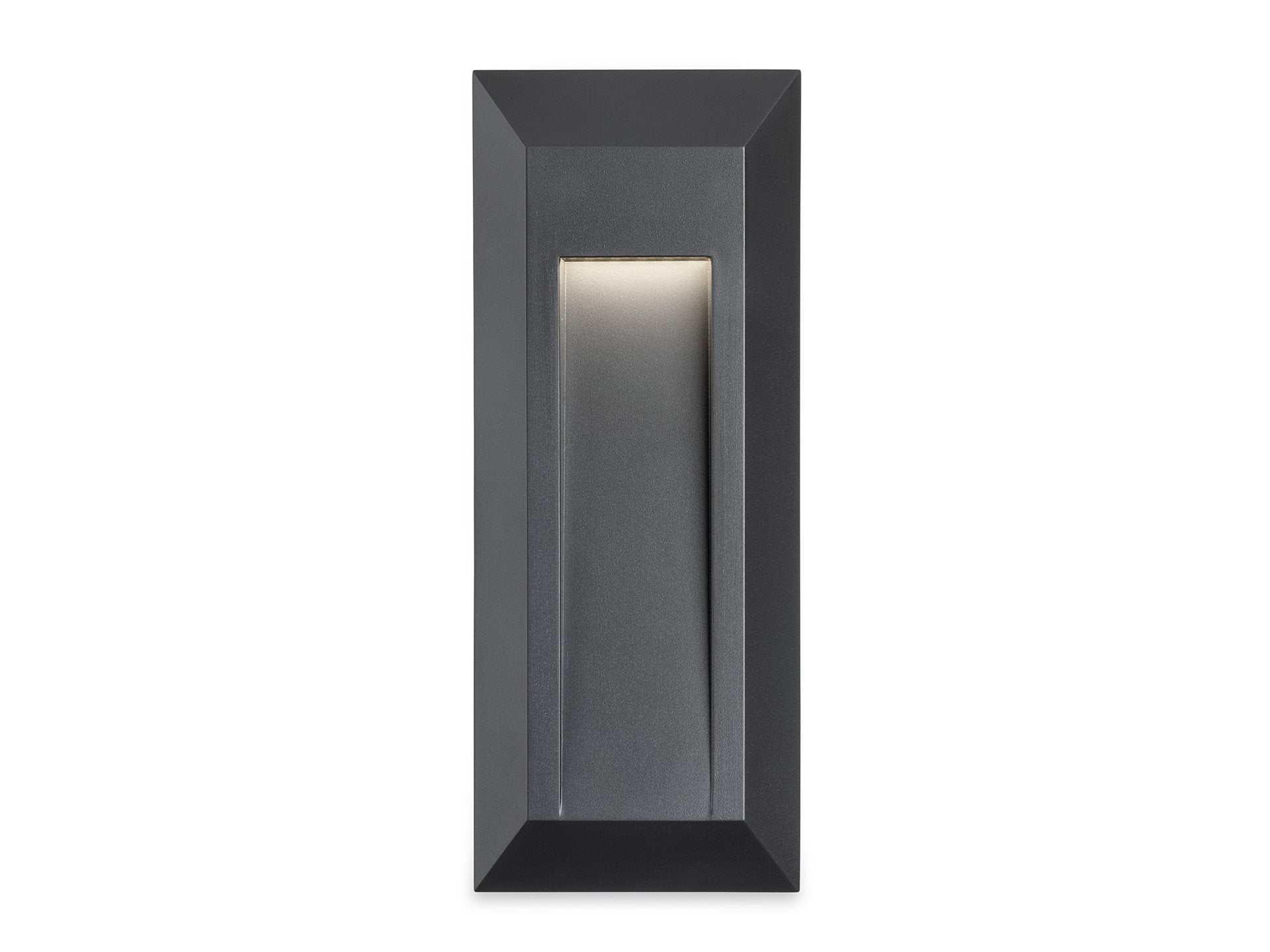Enzo LED Resin Wall & Step Light