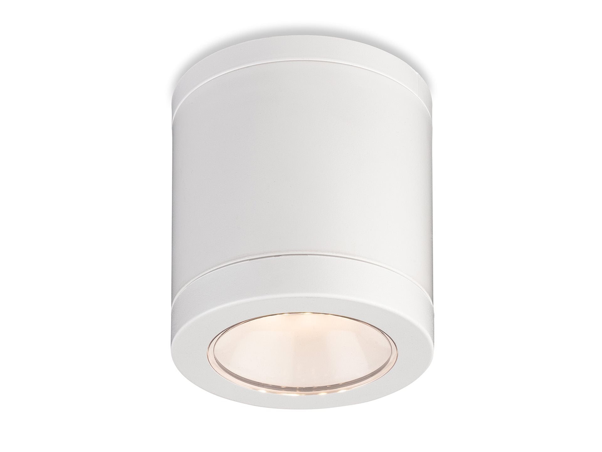 Max LED Resin Flush Ceiling Fitting- Black/ White