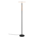 Celeste LED Floor Lamp - Various Colours