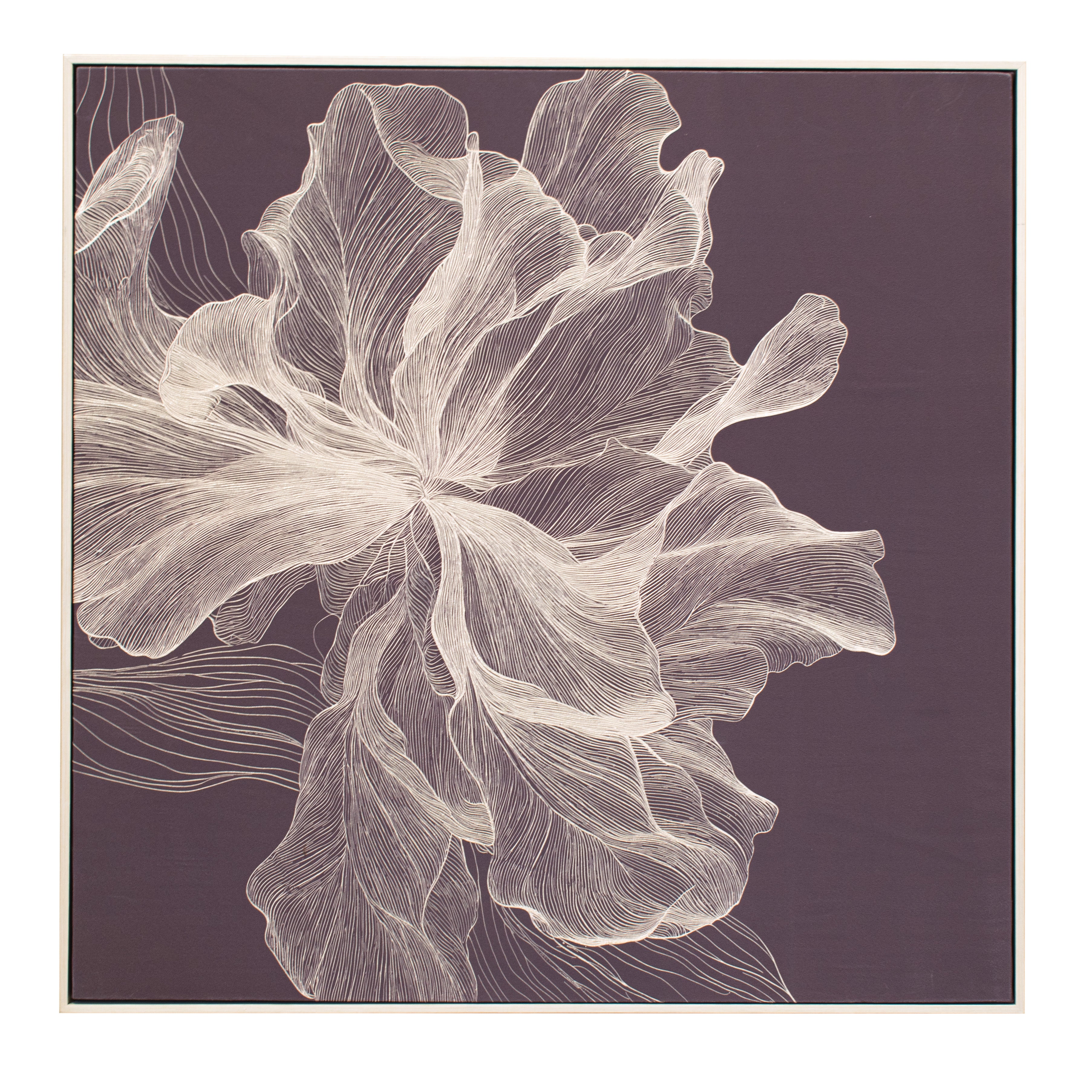 Adler Canvas - Dark
