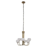 Elysian 6 Multiarm Pendant- Promotional Offer