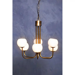 Elysian 6 Multiarm Pendant- Promotional Offer