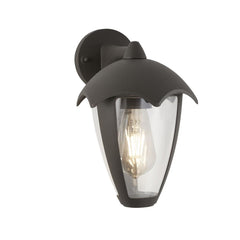 BLUEBELL OUTDOOR WALL LIGHT - GREY METAL & CLEAR POLYCARB