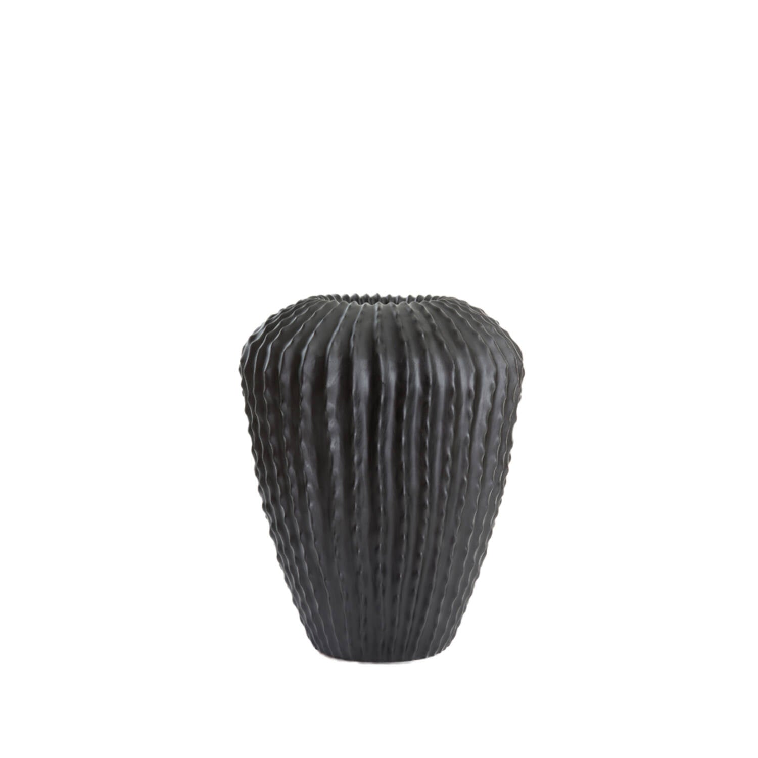 Cacti Decorative vase matt black