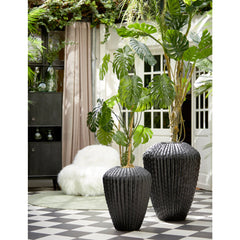 Cacti Decorative vase matt black