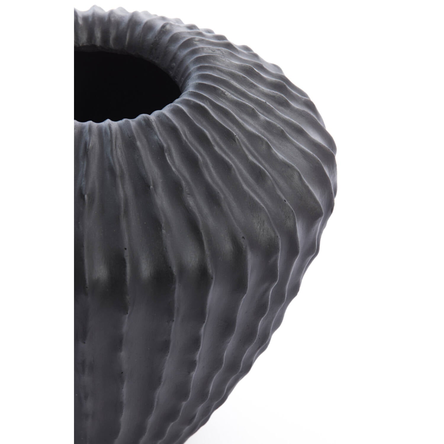 Cacti Decorative vase matt black