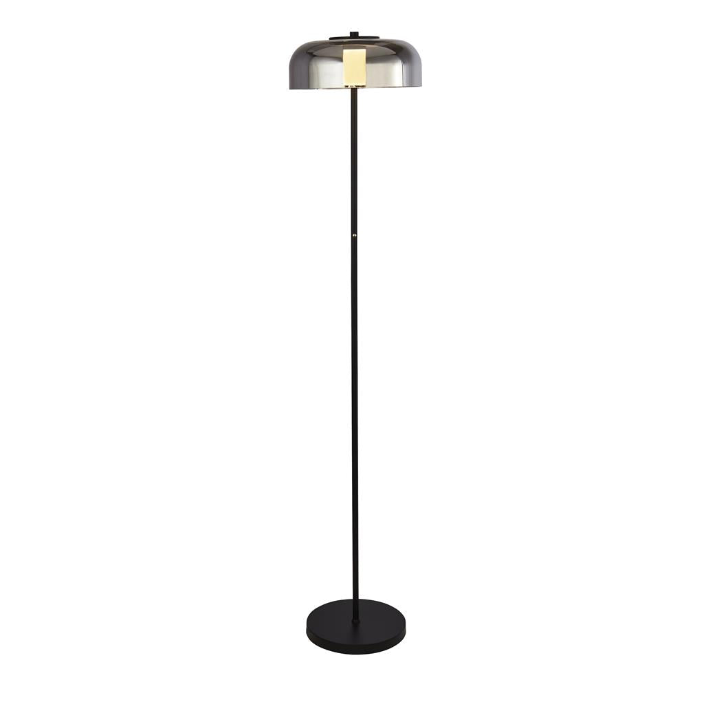 Frisbee Floor Lamp - Black Metal & Smoked Glass Integrated LED