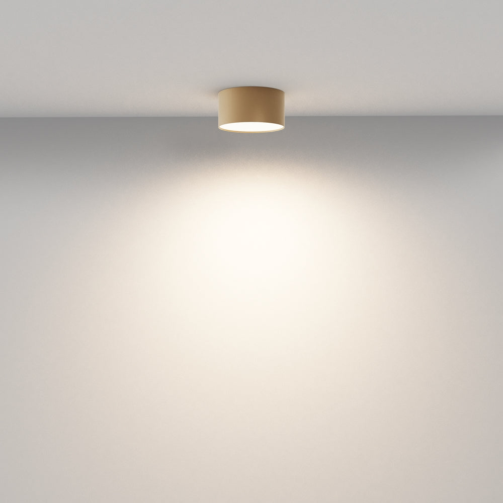 Zon Ceiling  Spotlight