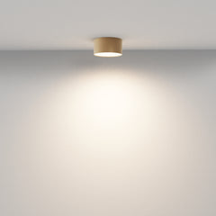 Zon Ceiling  Spotlight