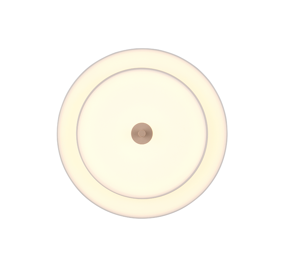 KEATON LED FLUSH LIGHT