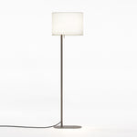 Venn Floor Lamp- Bronze/ Matt Nickel