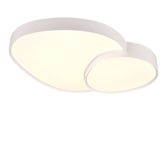 Rise Ceiling Lamp- Various Finishes 5 Years LED Warranty