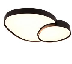 Rise Ceiling Lamp- Various Finishes 5 Years LED Warranty