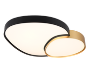 Rise Ceiling Lamp- Various Finishes 5 Years LED Warranty