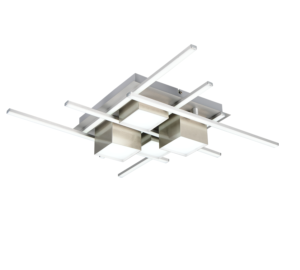 ROGER LED FLUSH LIGHT