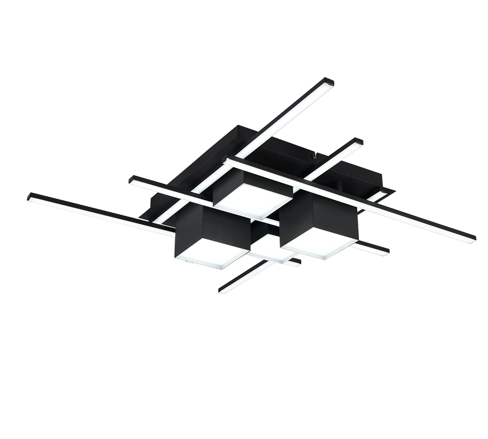 ROGER LED FLUSH LIGHT