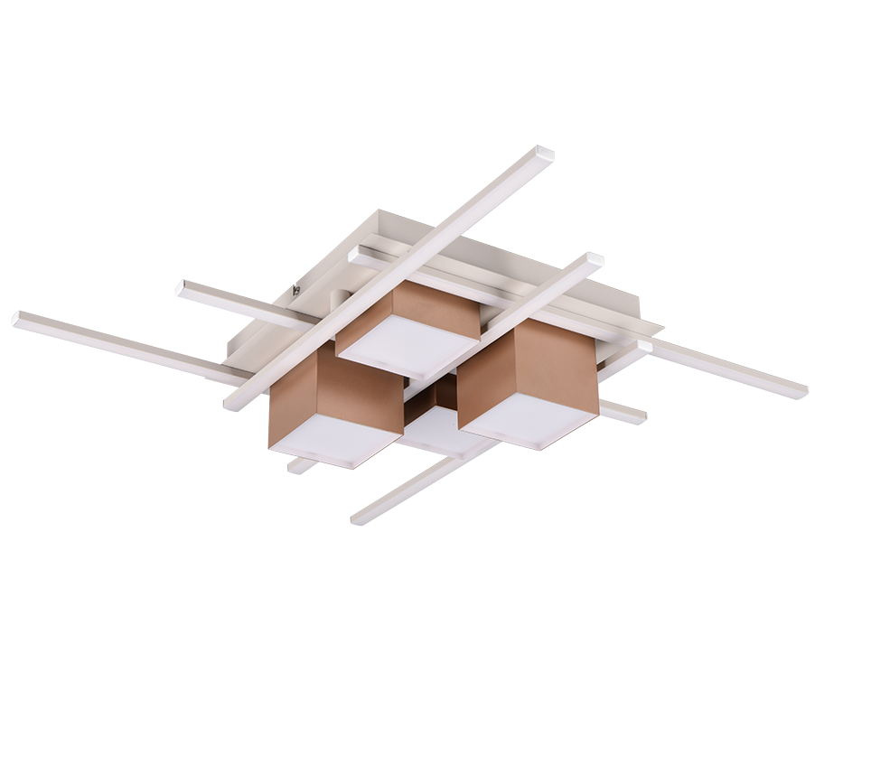 Roger LED Flush Ceiling Light