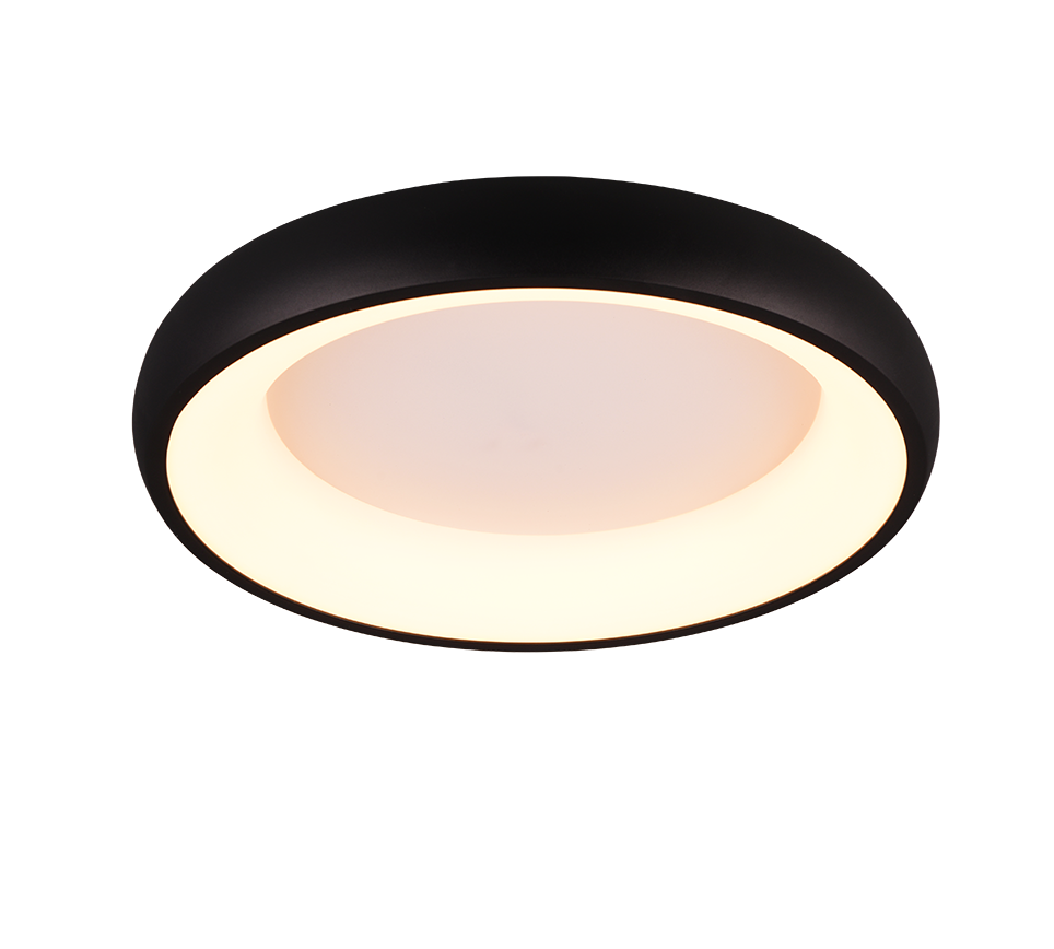 Cordona Ceiling Lights- Black & White Finishes