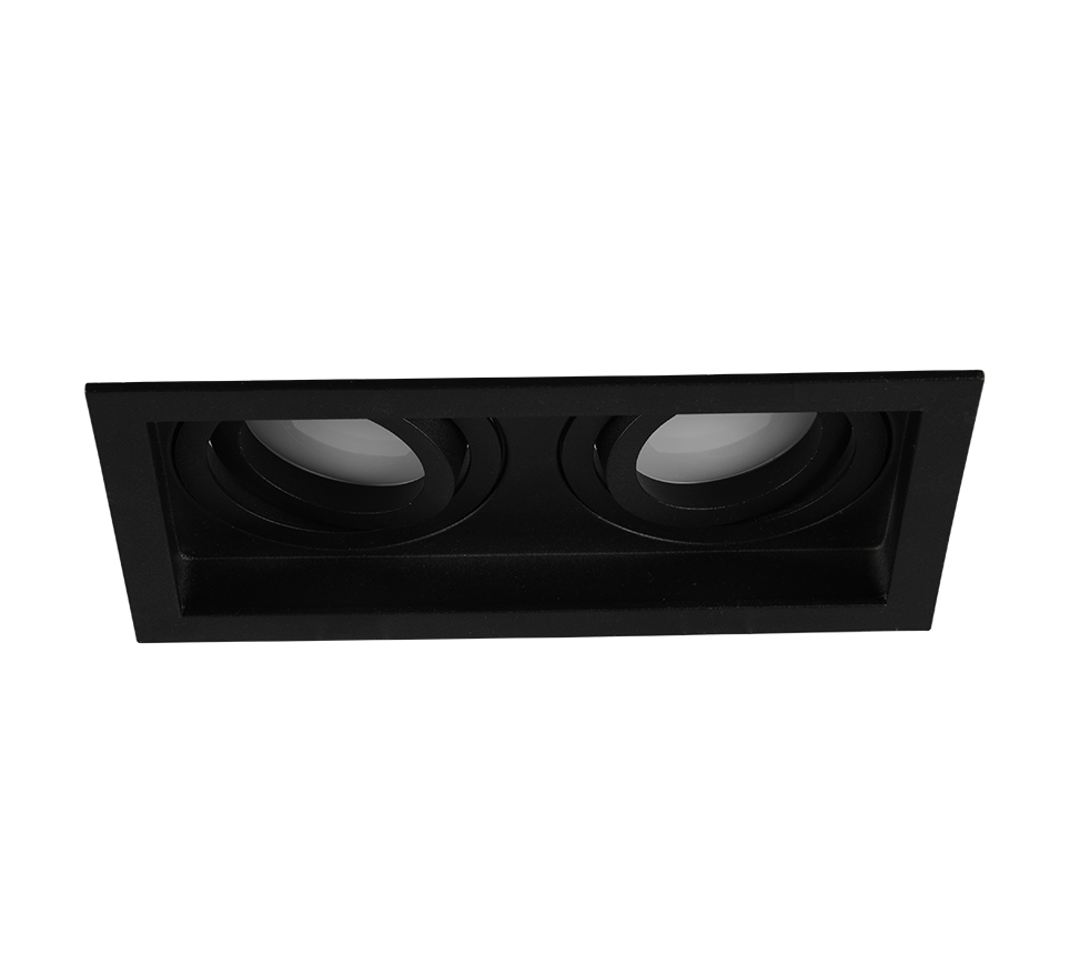 Kenai 2Lt Recessed Ceiling Light- Black/ White Finish