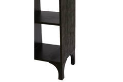 Rayna Cabinet/Book Case wood black