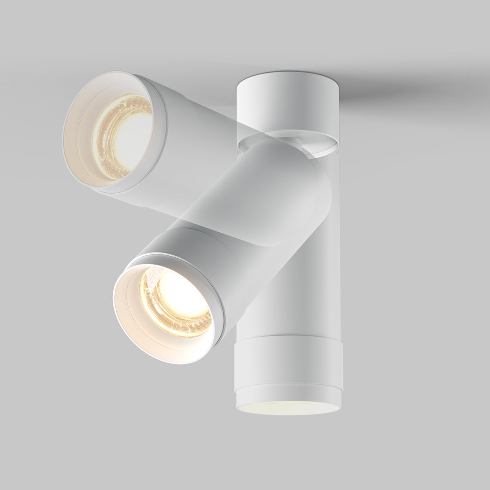 Zoom Focus Ceiling Light- Black & White Finishes