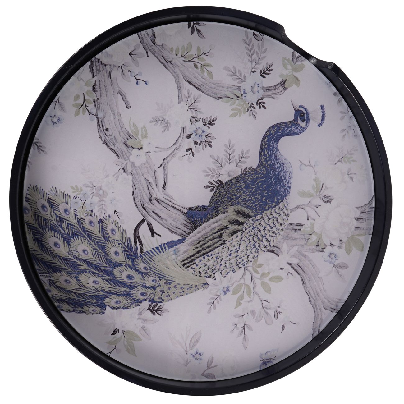 Belvedere Peacock Set Of 4 Placemats
