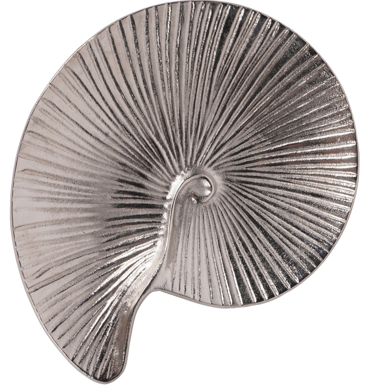 Albury Seashell Decor Bowl
