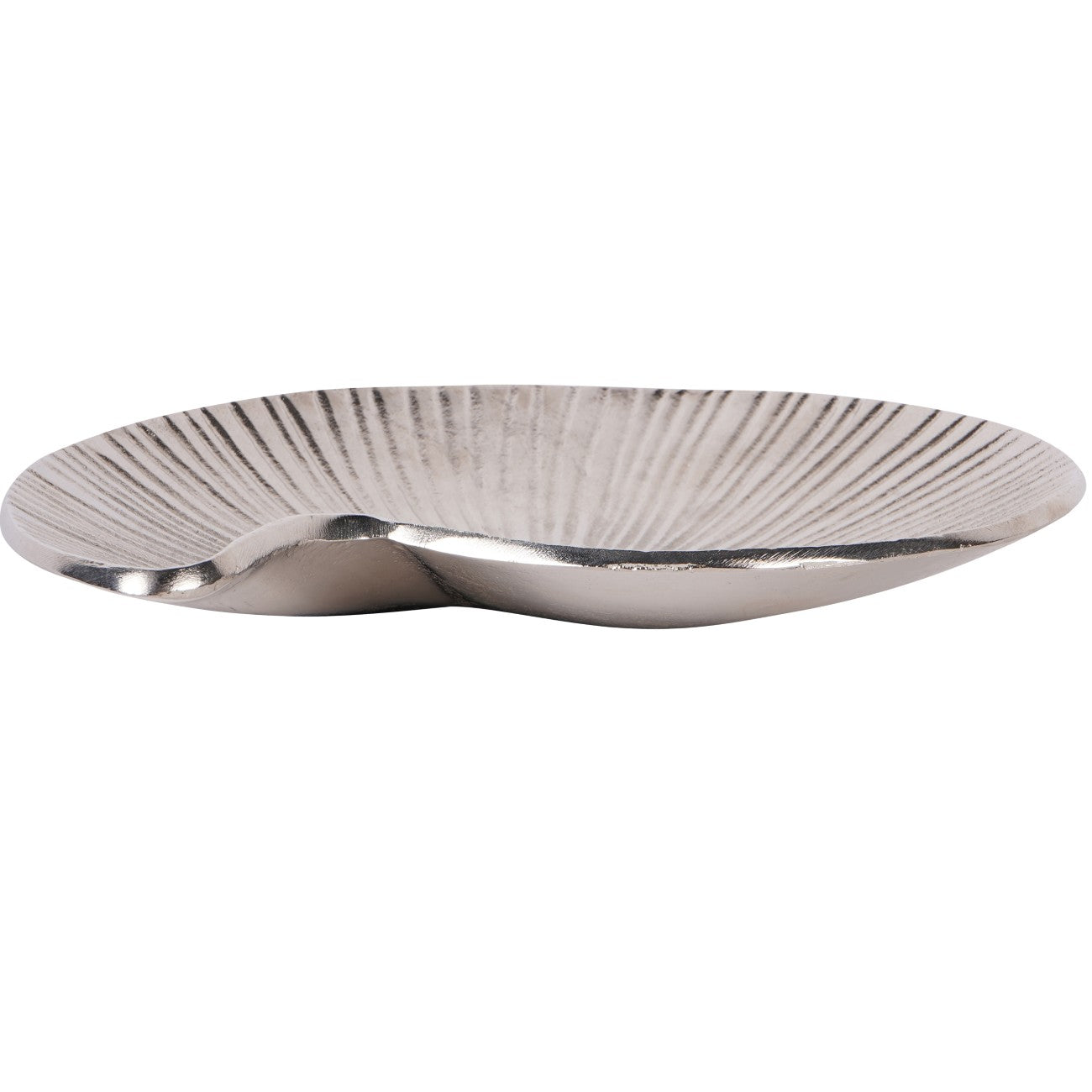 Albury Seashell Decor Bowl