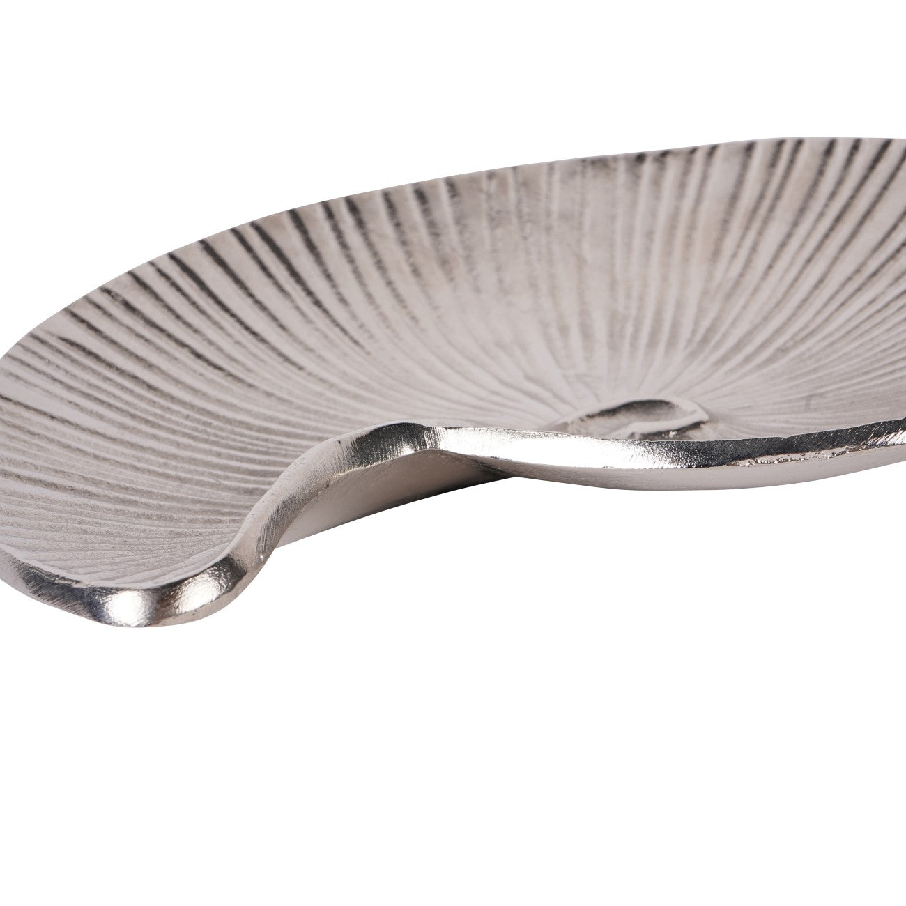 Albury Seashell Decor Bowl