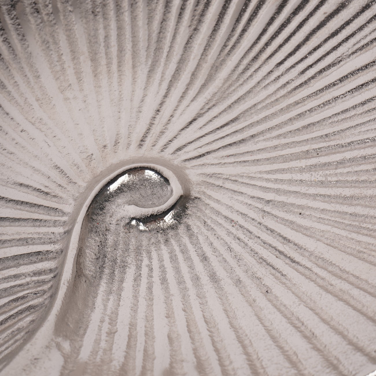 Albury Seashell Decor Bowl