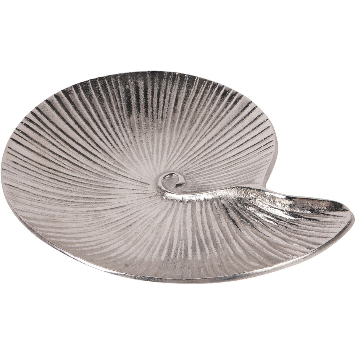 Albury Seashell Decor Bowl