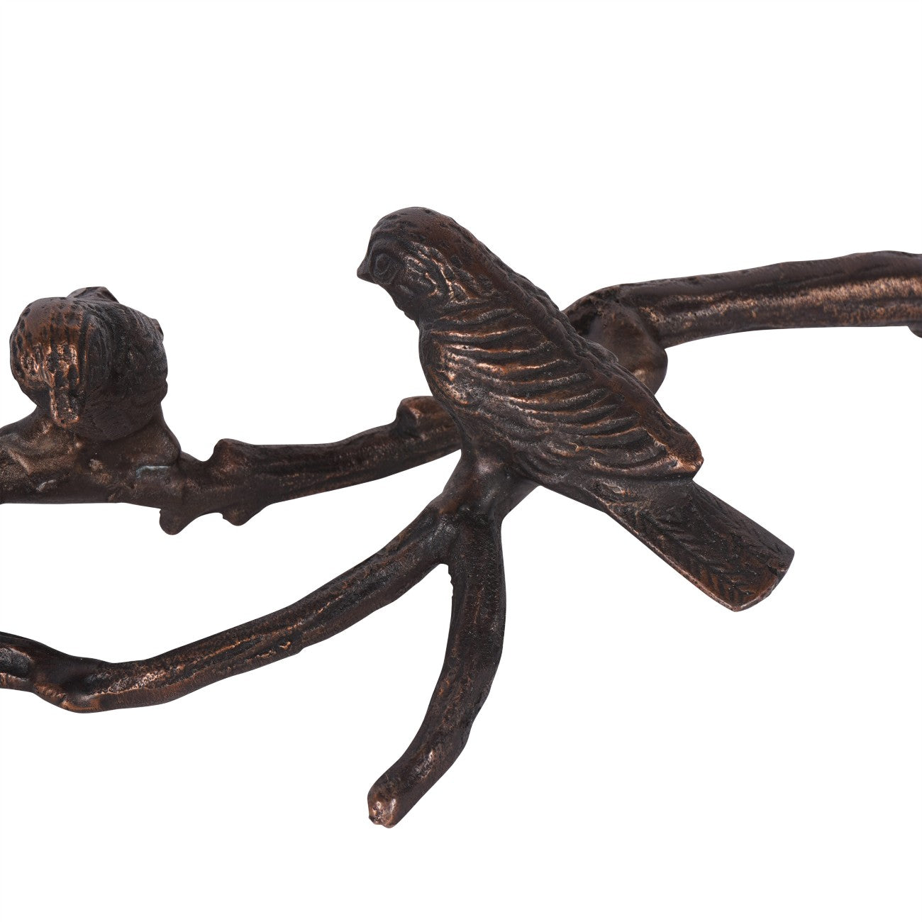 Bronze Marla Perching Birds