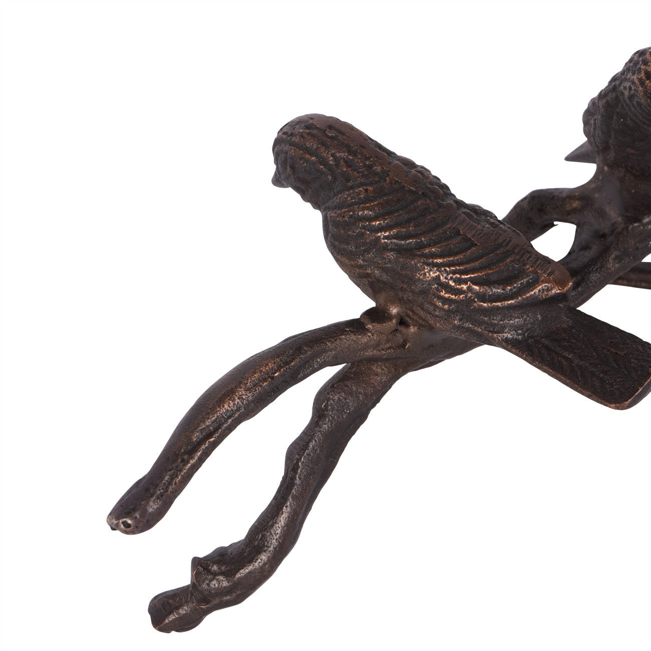Bronze Marla Perching Birds
