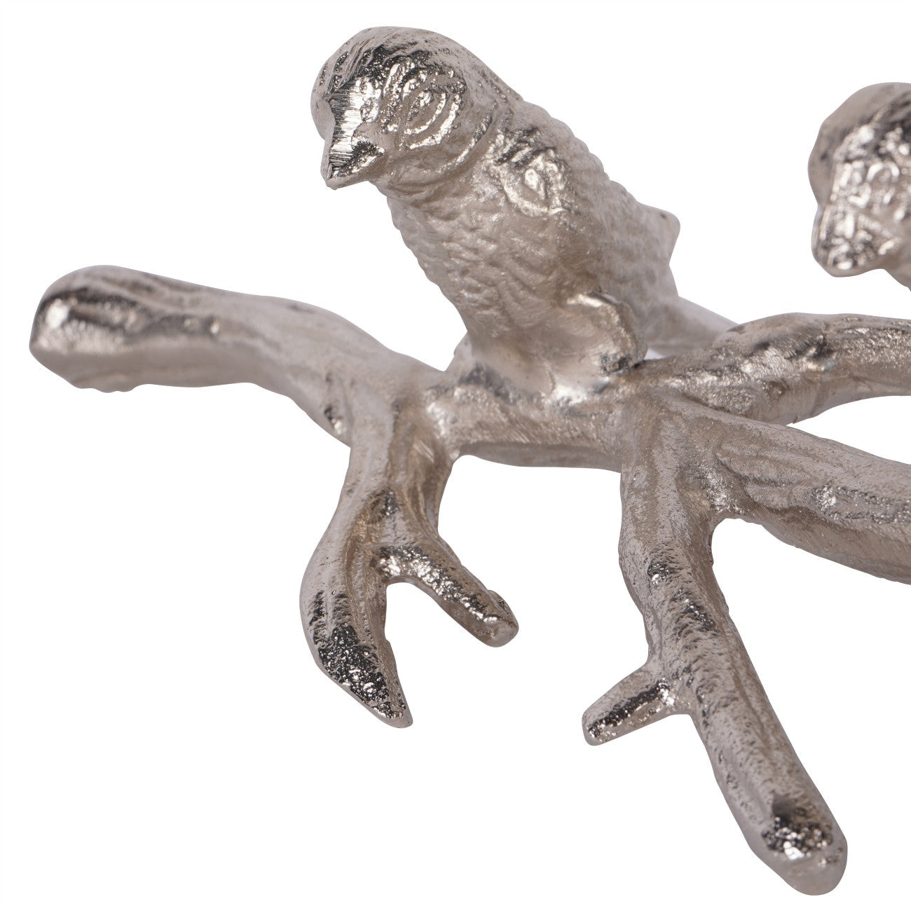 Silver Marla Perching Birds